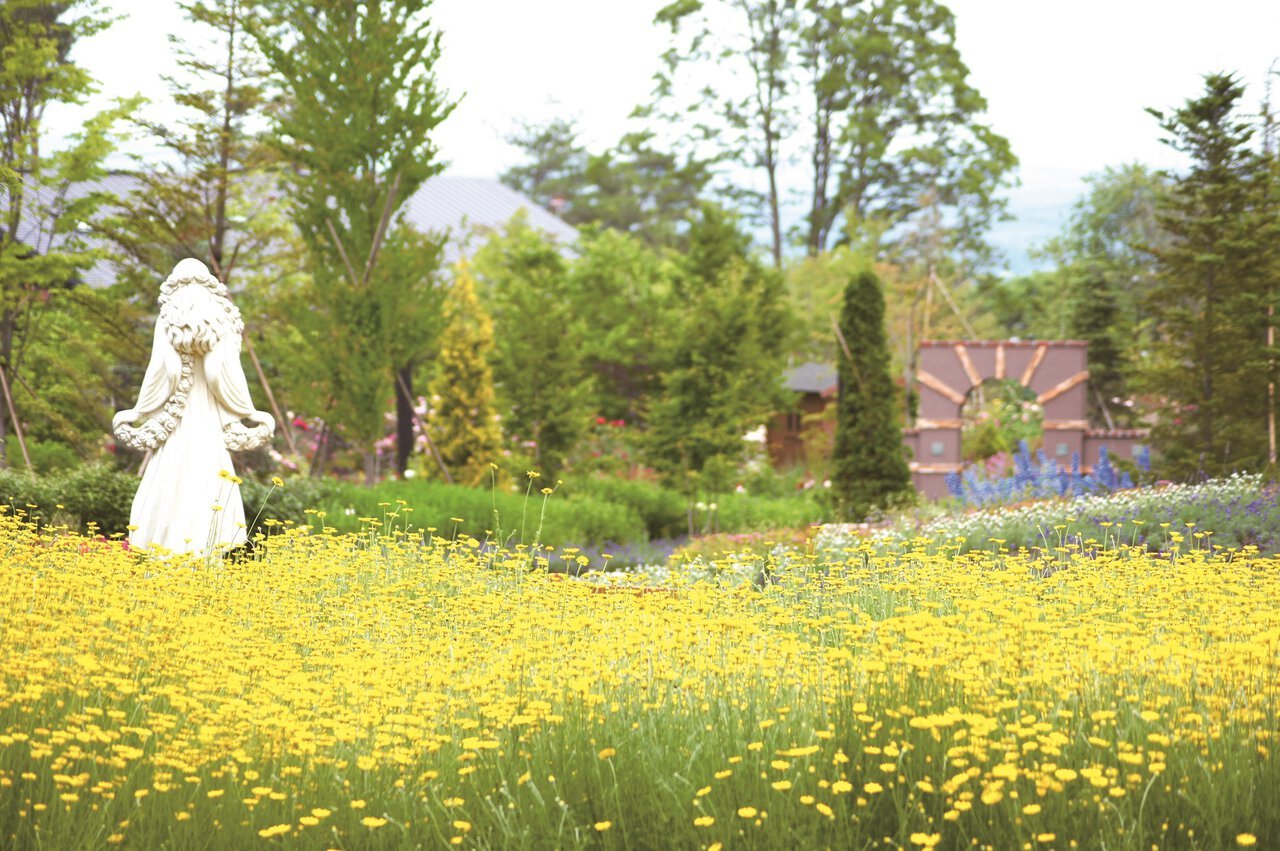 🏞️ 이와테 하치만타이 샐러드 농장 마을(이와테 하치만타이 사라다파무비렛지) 이미지 1